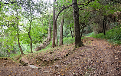 Camós - Font Garrabà